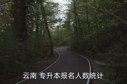 云南 專升本報名人數(shù)統(tǒng)計
