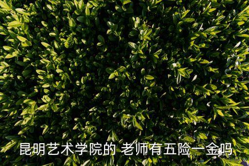 昆明藝術(shù)學院的 老師有五險一金嗎