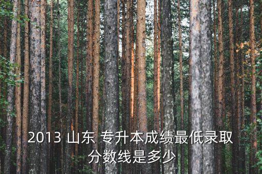 2013 山東 專升本成績最低錄取 分?jǐn)?shù)線是多少