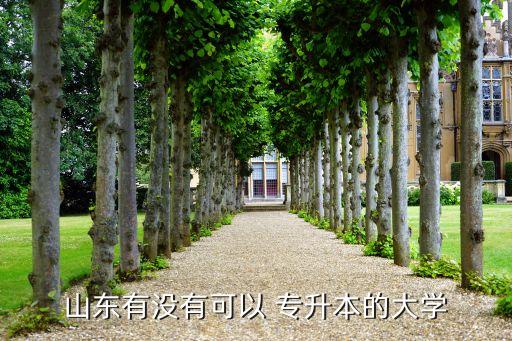 山東有沒(méi)有可以 專升本的大學(xué)