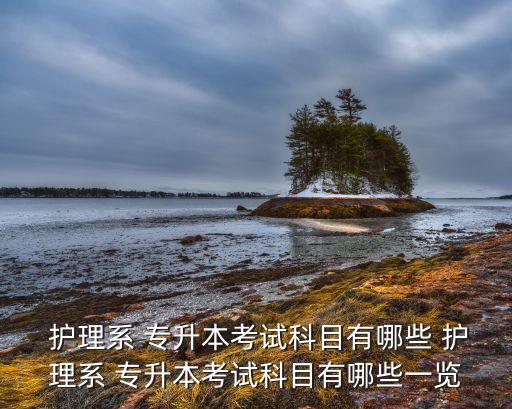大連專(zhuān)升本護(hù)理專(zhuān)業(yè)課,甘肅醫(yī)學(xué)院專(zhuān)升本護(hù)理專(zhuān)業(yè)課考什么