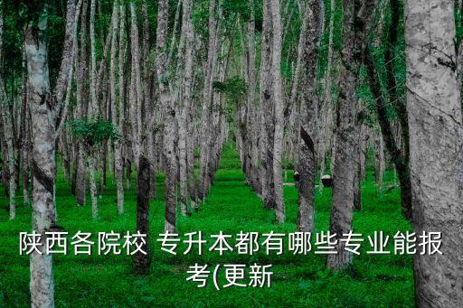咸陽(yáng)師范學(xué)院能專升本