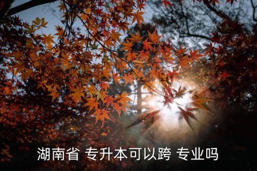 統(tǒng)招專升本跨專業(yè)經(jīng)驗(yàn)
