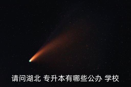 請(qǐng)問(wèn)湖北 專升本有哪些公辦 學(xué)校