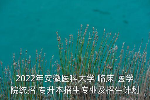2022年安徽醫(yī)科大學 臨床 醫(yī)學院統(tǒng)招 專升本招生專業(yè)及招生計劃