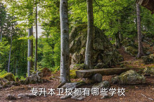  專升本衛(wèi)校都有哪些學校