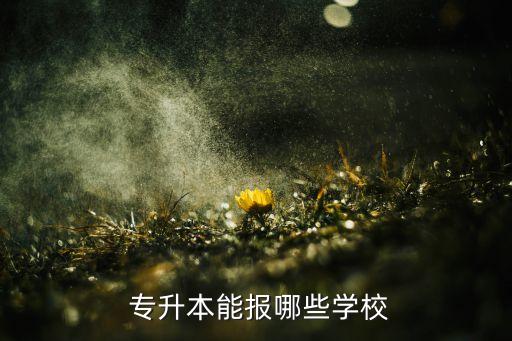  專升本能報(bào)哪些學(xué)校