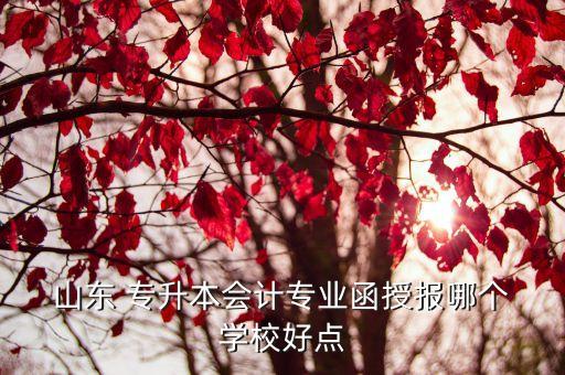 山東專升本會計學學校排名,河南省專升本會計學學校排名