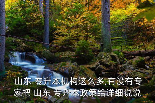  山東 專升本機(jī)構(gòu)這么多,有沒(méi)有專家把 山東 專升本政策給詳細(xì)說(shuō)說(shuō)