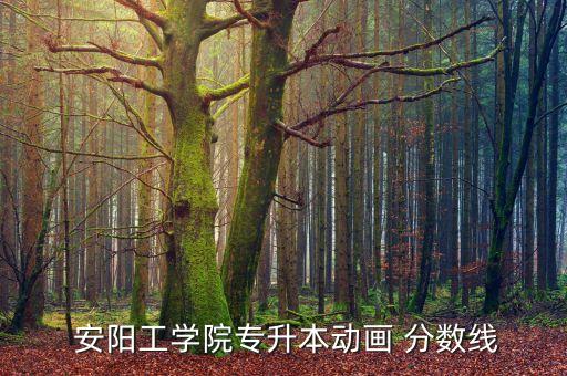  安陽工學(xué)院專升本動畫 分?jǐn)?shù)線