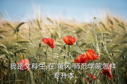 我是文科生,在 黃岡 師范學(xué)院怎樣 專(zhuān)升本