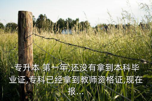  專升本 第一年,還沒(méi)有拿到本科畢業(yè)證,?？埔呀?jīng)拿到教師資格證,現(xiàn)在報(bào)...