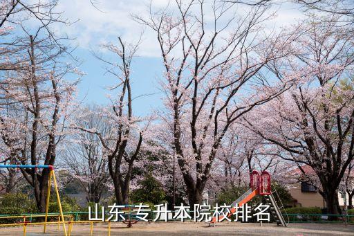 山東管理學院專升本學費