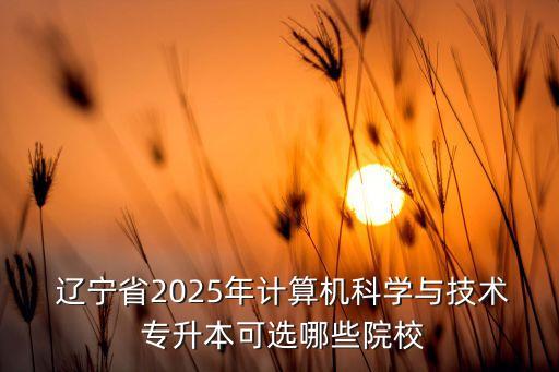  遼寧省2025年計算機科學與技術(shù) 專升本可選哪些院校