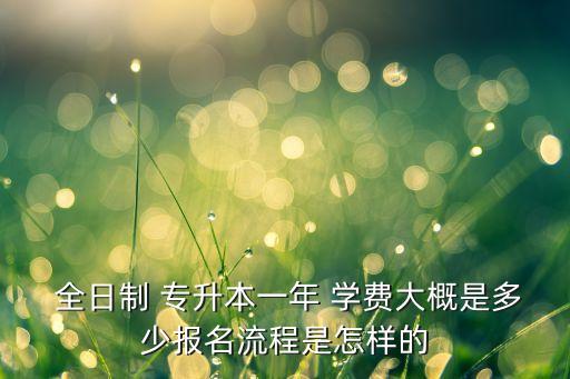  全日制 專(zhuān)升本一年 學(xué)費(fèi)大概是多少報(bào)名流程是怎樣的