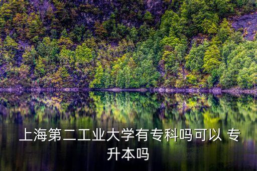  上海第二工業(yè)大學(xué)有?？茊峥梢?專升本嗎