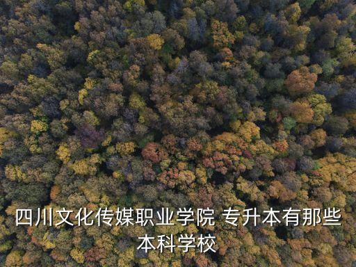 四川省專升本院校