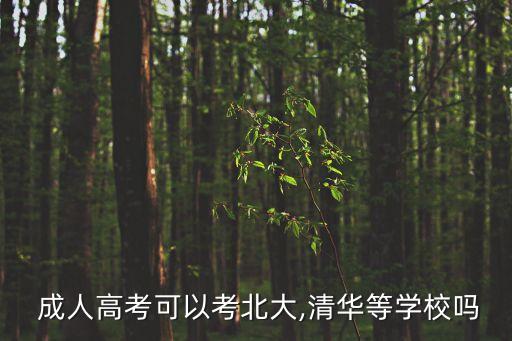  成人高考可以考北大,清華等學校嗎