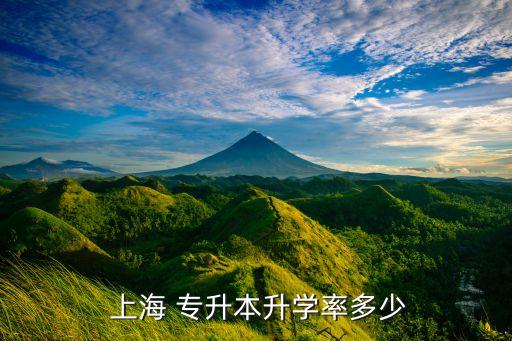  上海 專升本升學(xué)率多少