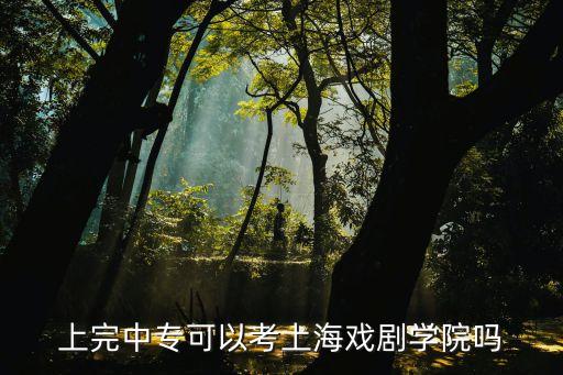 上完中專(zhuān)可以考上海戲劇學(xué)院?jiǎn)? class=