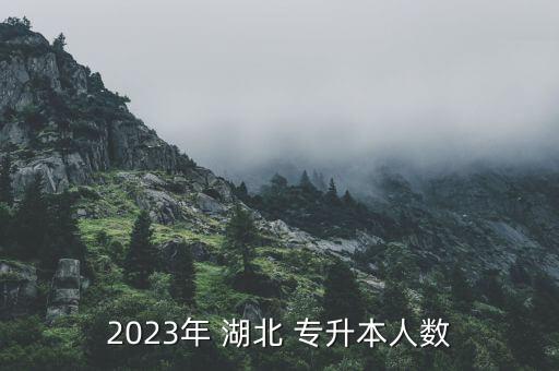 2023年 湖北 專升本人數(shù)