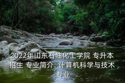 山東省專升本計(jì)算機(jī)專業(yè)