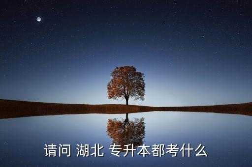 請(qǐng)問(wèn) 湖北 專(zhuān)升本都考什么