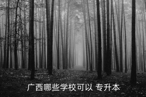 廣西哪些學(xué)?？梢?專升本