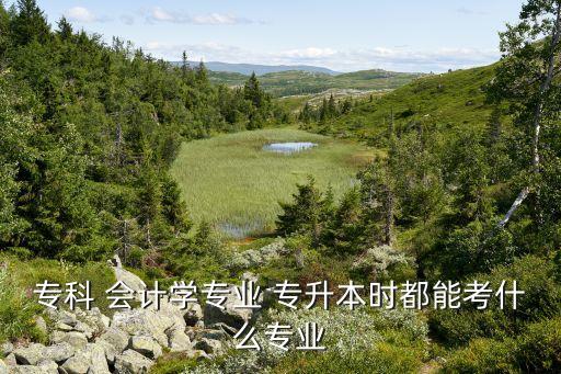 ?？?會(huì)計(jì)學(xué)專業(yè) 專升本時(shí)都能考什么專業(yè)