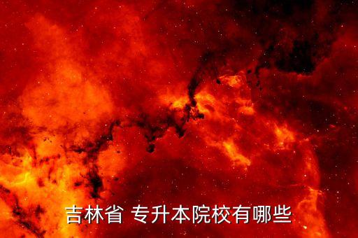 長春金融高等?？茖W(xué)院 專升本 在哪里上