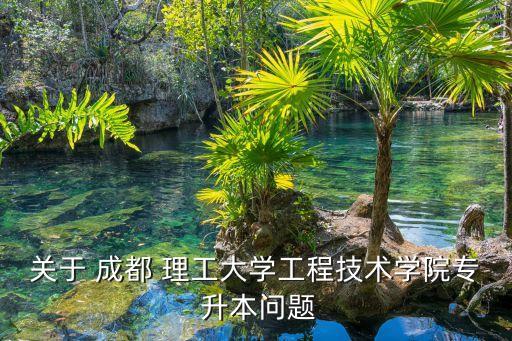 關于 成都 理工大學工程技術學院專 升本問題