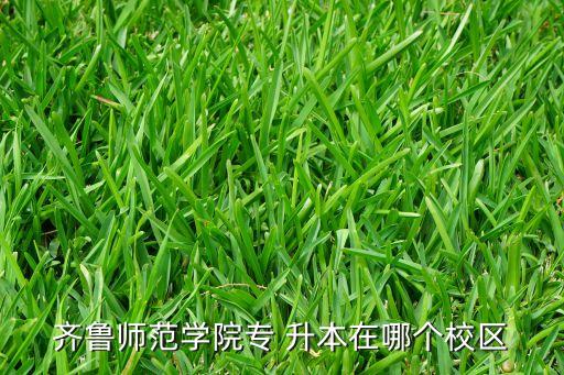 齊魯師范學(xué)院專 升本在哪個校區(qū)