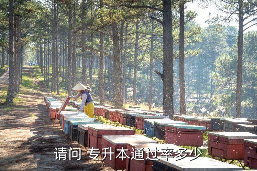 請(qǐng)問 專升本通過(guò)率多少