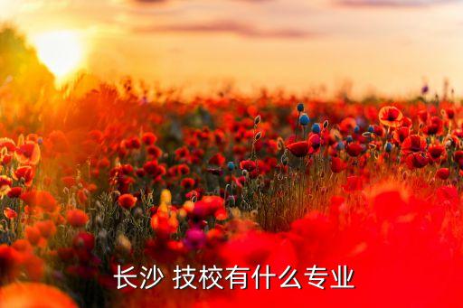 長(zhǎng)沙有哪些技?？梢詫?zhuān)升本