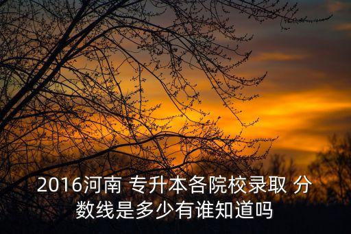 2016河南 專升本各院校錄取 分數(shù)線是多少有誰知道嗎