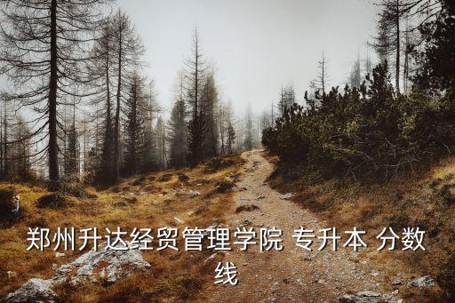 鄭州升達經(jīng)貿管理學院 專升本 分數(shù)線