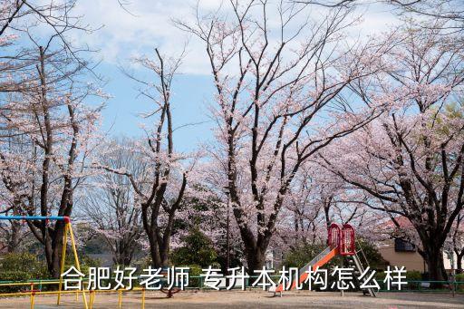  合肥好老師 專升本機構怎么樣