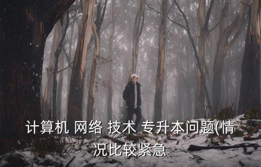 計算機 網(wǎng)絡 技術 專升本問題(情況比較緊急