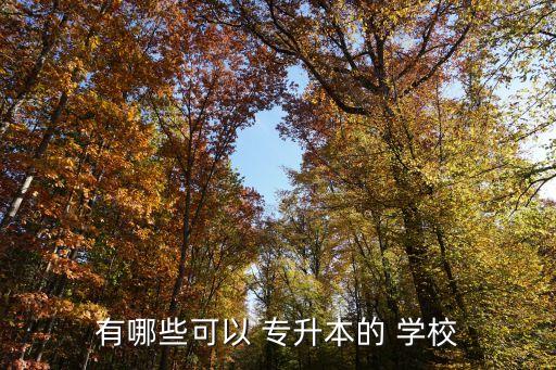 有哪些可以 專(zhuān)升本的 學(xué)校