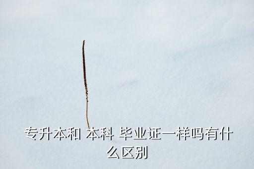 專(zhuān)升本的畢業(yè)證是本科,統(tǒng)招專(zhuān)升本畢業(yè)證和本科畢業(yè)證一樣嗎