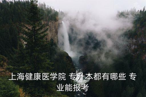 上海健康醫(yī)學院 專升本都有哪些 專業(yè)能報考