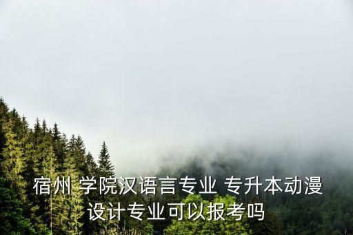 2017年宿州學(xué)院專升本簡章,宿州學(xué)院2017專升本計算機基礎(chǔ)答案