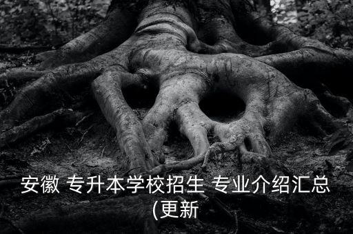 安徽 專(zhuān)升本學(xué)校招生 專(zhuān)業(yè)介紹匯總(更新