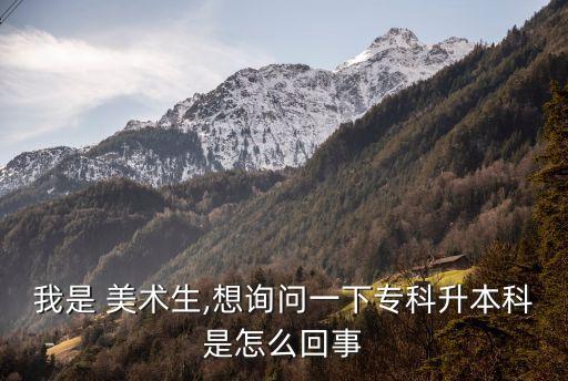 我是 美術(shù)生,想詢問一下?？粕究剖窃趺椿厥? class=