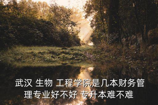  武漢 生物 工程學(xué)院是幾本財(cái)務(wù)管理專(zhuān)業(yè)好不好 專(zhuān)升本難不難