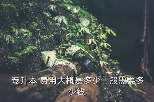  專升本 費用大概是多少一般需要多少錢