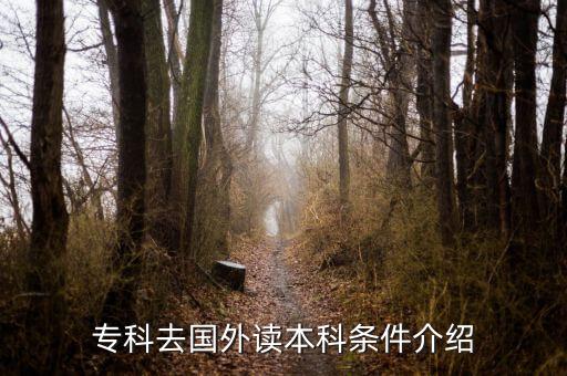 新加坡專升本學(xué)費,大專生去新加坡專升本