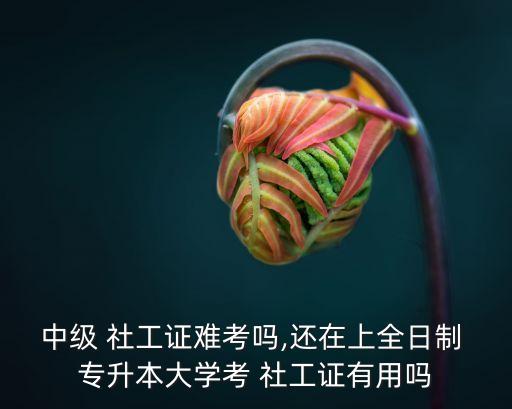 中級(jí) 社工證難考嗎,還在上全日制 專升本大學(xué)考 社工證有用嗎