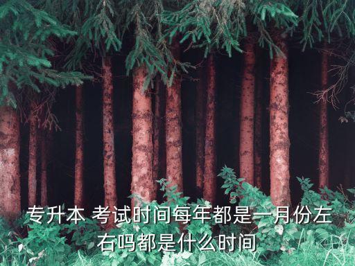  專升本 考試時間每年都是一月份左右嗎都是什么時間