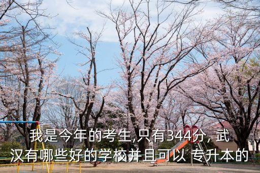 我是今年的考生,只有344分, 武漢有哪些好的學校并且可以 專升本的